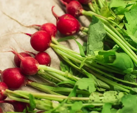 Fanes de légumes fraîches prêtes à cuisiner pour réduire le gaspillage et optimiser le budget alimentaire
