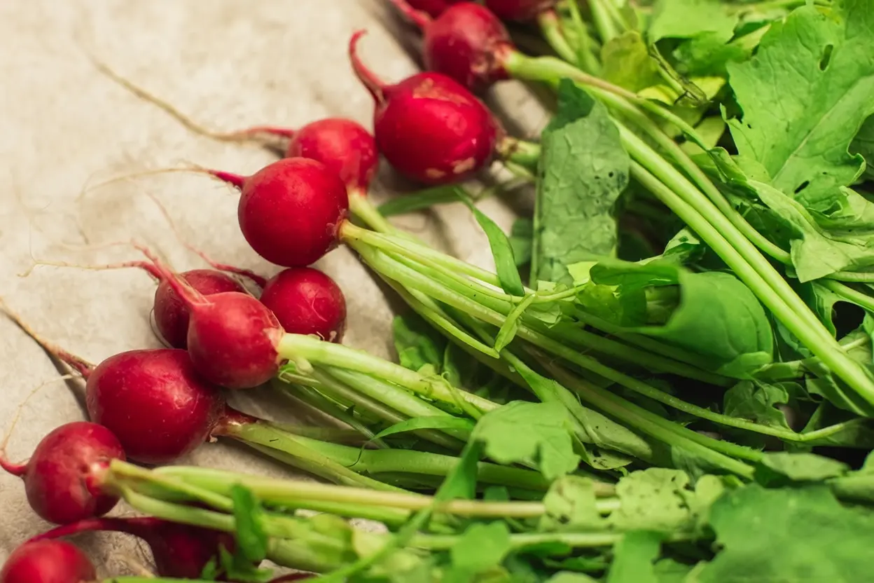Fanes de légumes fraîches prêtes à cuisiner pour réduire le gaspillage et optimiser le budget alimentaire