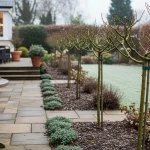 Rosiers en hiver dans un jardin soigné, traitement préventif anti-pucerons appliqué sur le bois nu