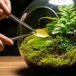 Mains utilisant une longue pince pour entretenir les plantes d'un terrarium en verre posé sur une table