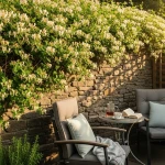 Terrasse de jardin avec un mur recouvert de chèvrefeuille en fleurs blanches et jaunes